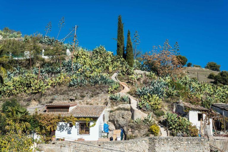 מוזיאון אנשי המערות בגרנדה, Sacromonte Caves Museum חוויה אותנטית ומרגשת המערות בסקרומונטה נחשבות למרכז הפלמנקו האותנטי של גרנדה, מקום בו מתעוררת לחיים מסורת הצוענים ששורשיה נטועים בעומק ההיסטוריה של אנדלוסיה. מופעי הפלמנקו במערות אינם רק הופעה, אלא חוויה תרבותית המשלבת בין מוזיקה סוחפת, ריקוד עוצמתי וקצב שורשי המתמזגים בהרמוניה עם חללי המערות המיוחדים. כל מערה היא בית לאמן פלמנקו מקומי או למשפחת אמנים, ורבים מהם ממשיכים מסורת בת מאות שנים שמועברת מדור לדור. באווירה האינטימית של המערות, המבקרים יכולים להרגיש את הקסם המיוחד של הפלמנקו במלואו – החל מקול השירה העמוק והמהדהד ועד לצליל הגיטרה שמלווה את רקיעות הרגליים הקצביות. מפגש עם תרבות הצוענים: היסטוריה וקסם במעמקי המערות המופעים במערות מספקים הצצה נדירה לתרבות עשירה ומסורתית של קהילת הצוענים האנדלוסית, שהייתה חלק בלתי נפרד מהאזור במשך מאות שנים. חלק מהמופעים מלווים גם בהסברים קצרים המספרים את סיפור המוזיקה, תלבושות הרקדנים, והמשמעות העמוקה מאחורי כל תנועה וריקוד. המבקרים מקבלים הזדמנות ללמוד על מקורות הפלמנקו והתפתחותו באנדלוסיה, ולהבין כיצד השפיעו הצוענים על יצירתו של סגנון ייחודי ומיוחד זה. עבור מי שמחפש חוויה אמיתית של אנדלוסיה המסורתית, ביקור במערות הפלמנקו הוא דרך יוצאת דופן להיחשף לעומקה של התרבות המקומית ולהרגיש את הקצב והחיים הפועמים של האזור.