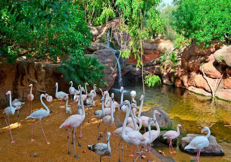 Fuengirola: Bioparc